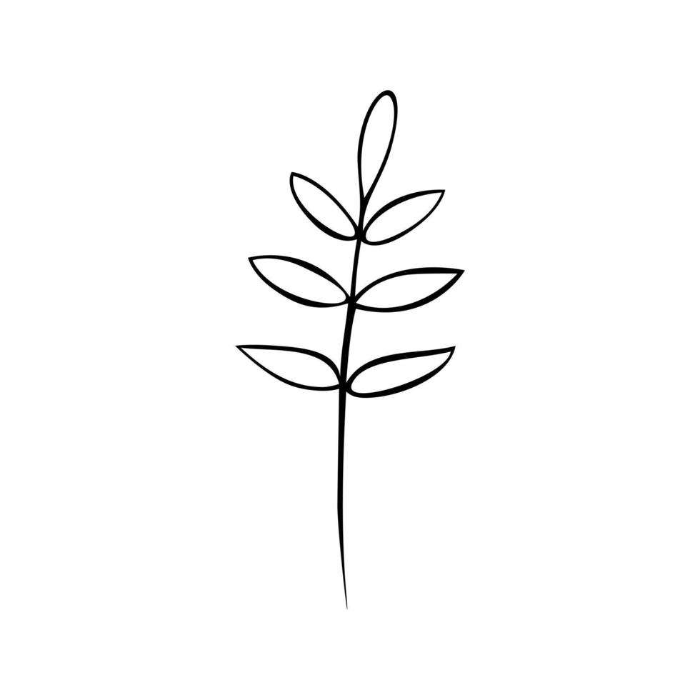 nero linea scarabocchio le foglie su bianca sfondo. vettore illustrazione di natura.