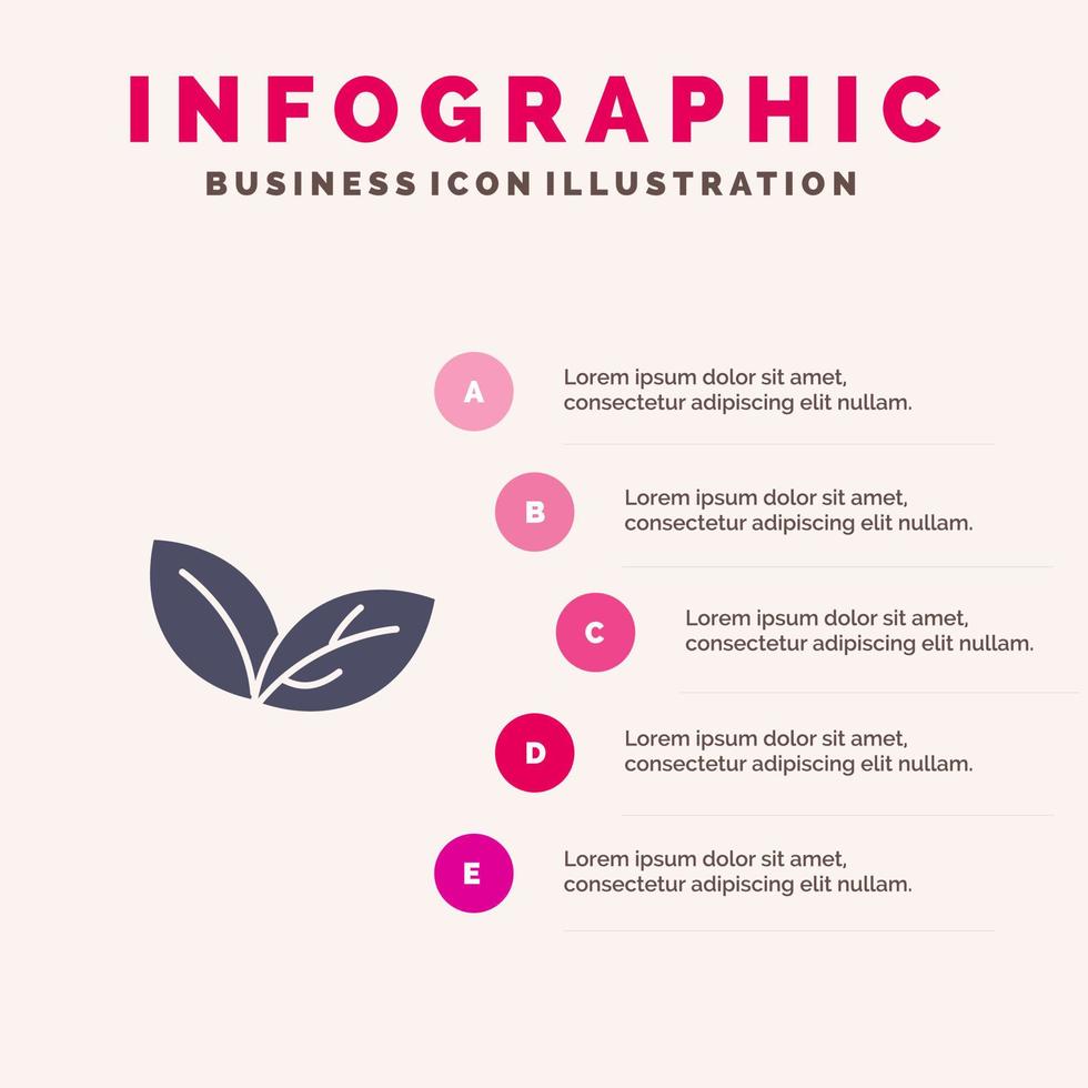 crescita foglia pianta primavera solido icona infografica 5 passaggi presentazione sfondo vettore