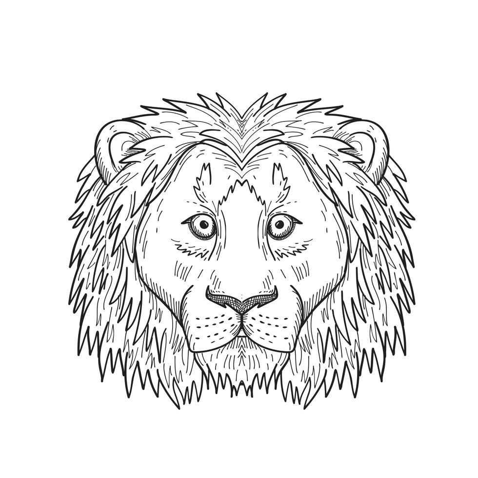 testa di un disegno in bianco e nero di vista frontale del leone codardo e spaventato vettore