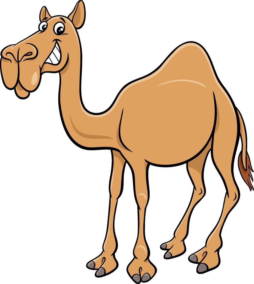 cartone animato cammello dromedario personaggio animale comico vettore