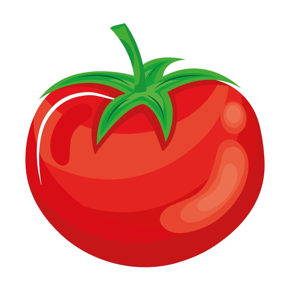 pomodoro fresco verdura cibo sano vettore