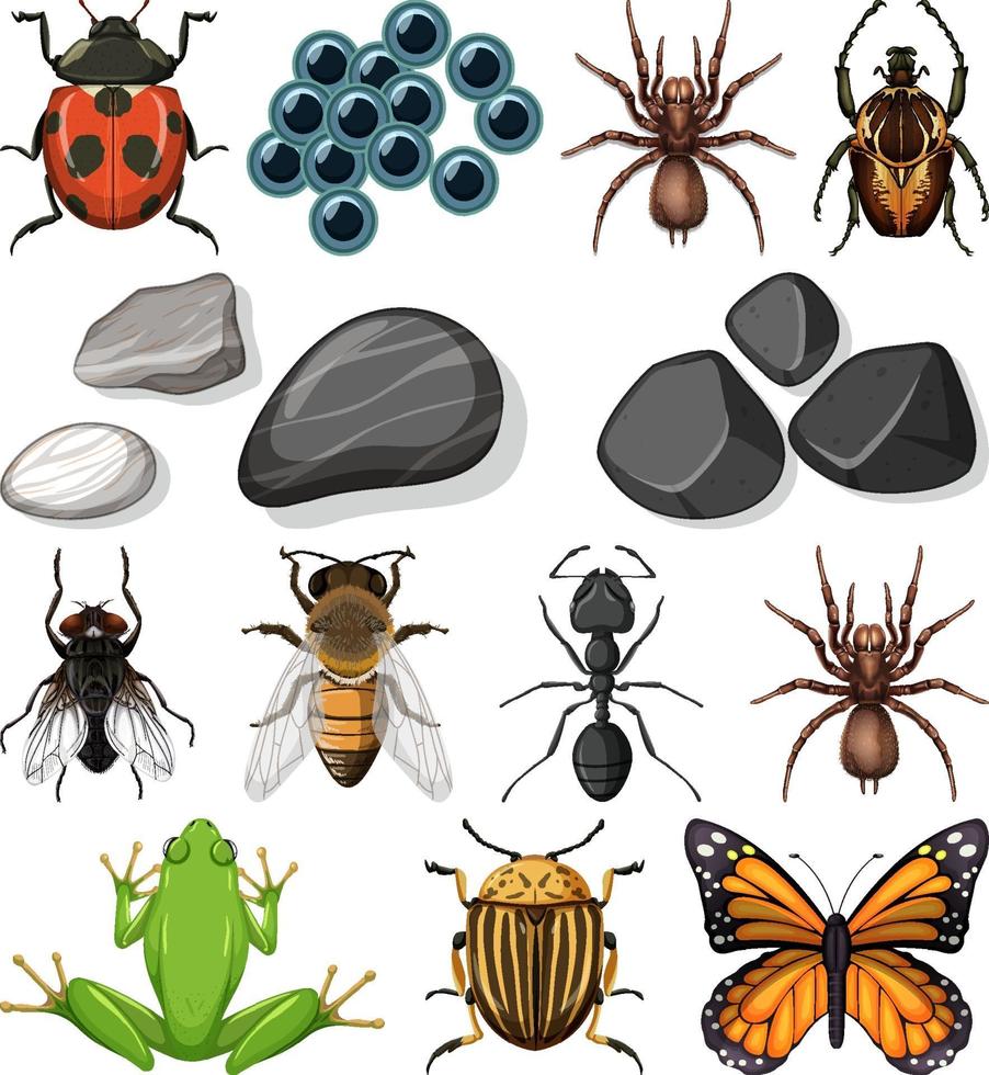 diversi tipi di insetti con elementi della natura vettore