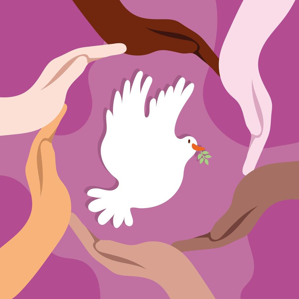 Giornata internazionale della pace scritte con colomba e mani interrazziali intorno vettore