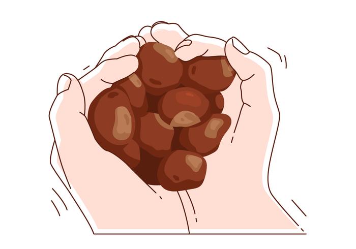 illustrazione di buckeyes in mano vettore