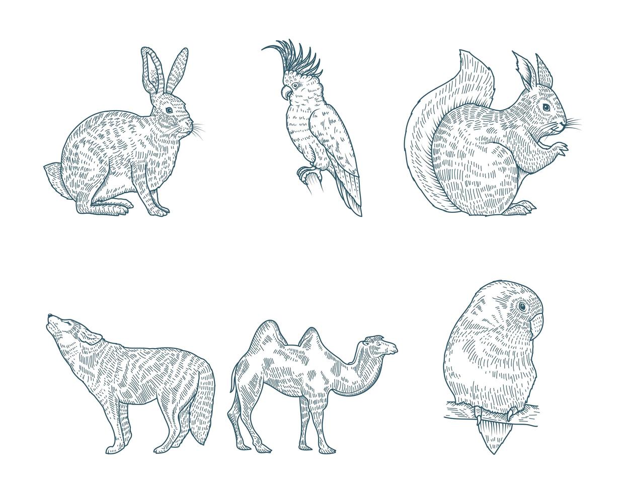 set di animali disegnati a mano vettore
