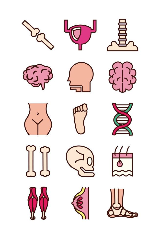set di icone di parti del corpo e organi educativi vettore