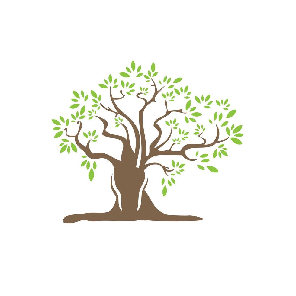 albero logo modello. natura icona design vettore, albero icona concetto di un' stilizzato albero con foglie, Quercia logo illustrazione. vettore silhouette di un' albero. albero di vita logo design radici ispirazione