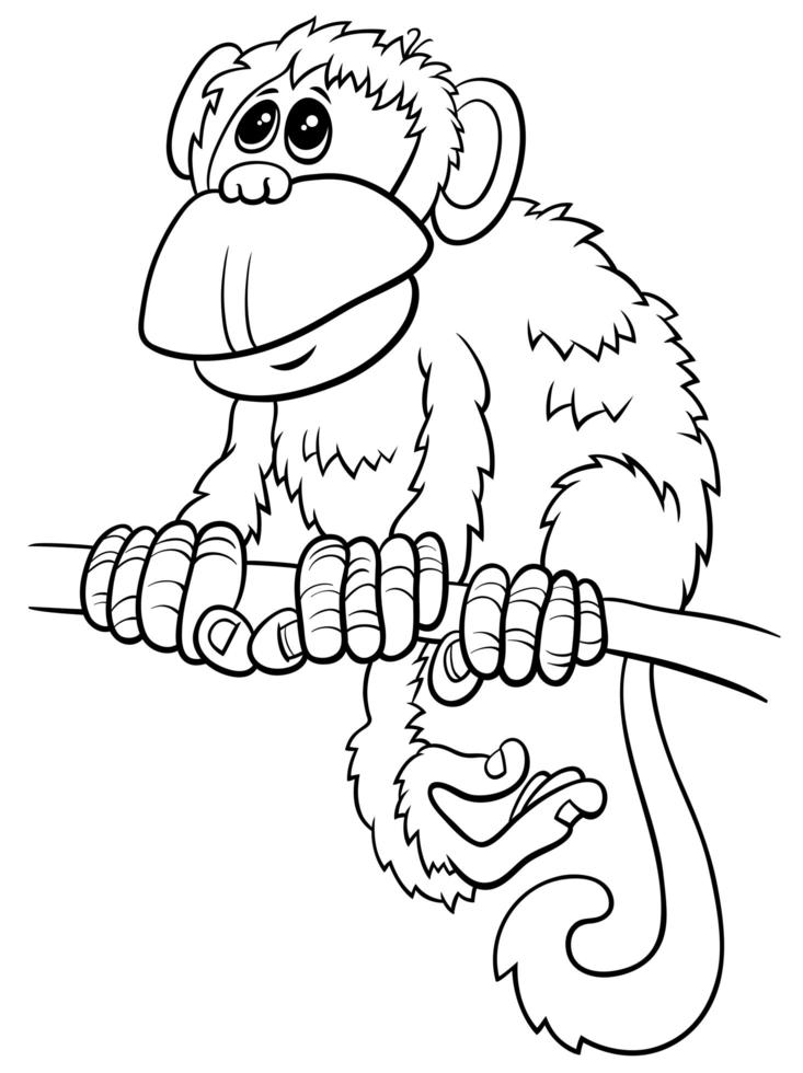 Cartoon monkey fumetto carattere animale libro da colorare pagina vettore