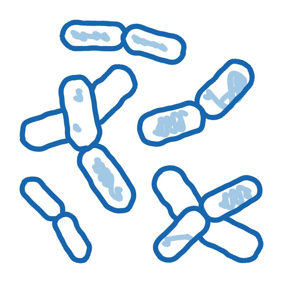 biologia micro batteri scarabocchio icona mano disegnato illustrazione vettore