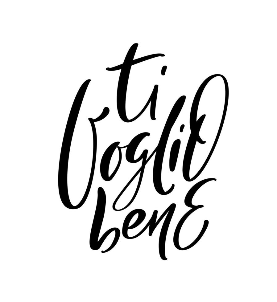 io amore voi su italiano ti voglio bene. nero vettore calligrafia lettering nozze testo. vacanza citazione design per San Valentino saluto carta, frase manifesto