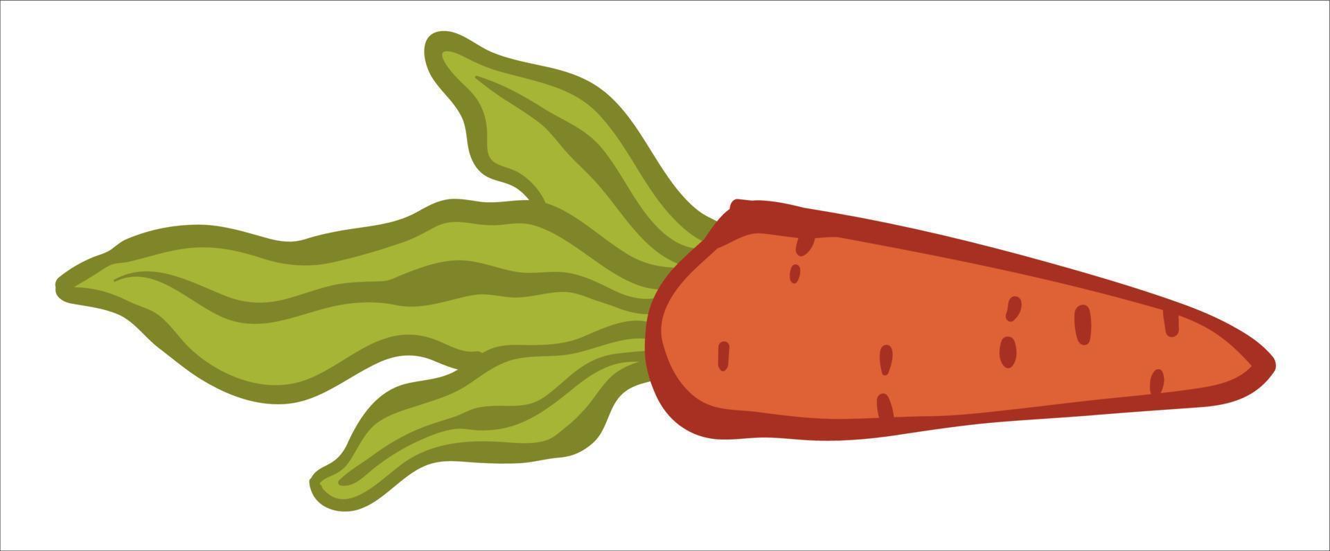 maturo carota con verde foglie, fresco verdura vettore