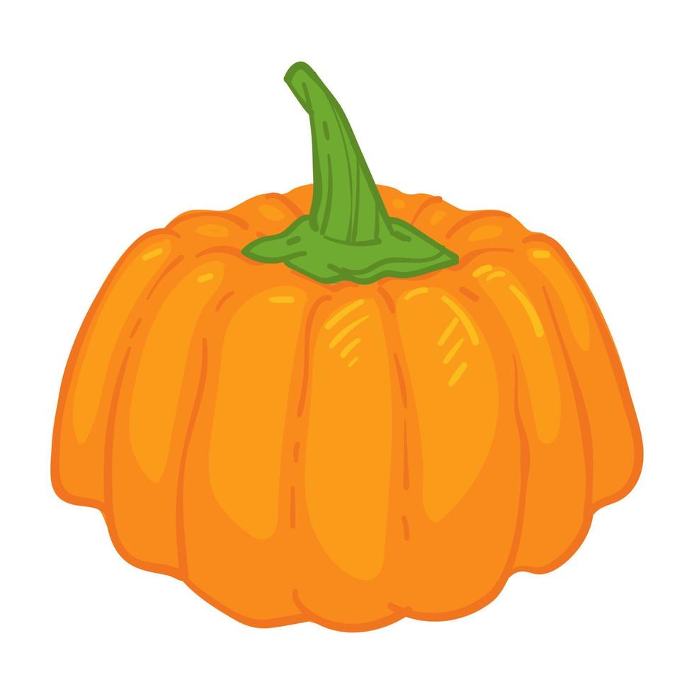 zucca maturo verdura, simbolo di autunno raccolta stagione vettore
