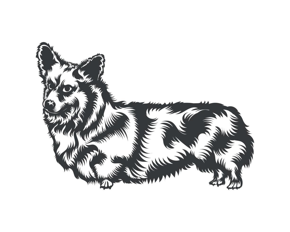 cardigan corgi cane vettore illustrazione silhouette per maglietta, logo, badge su bianca sfondo