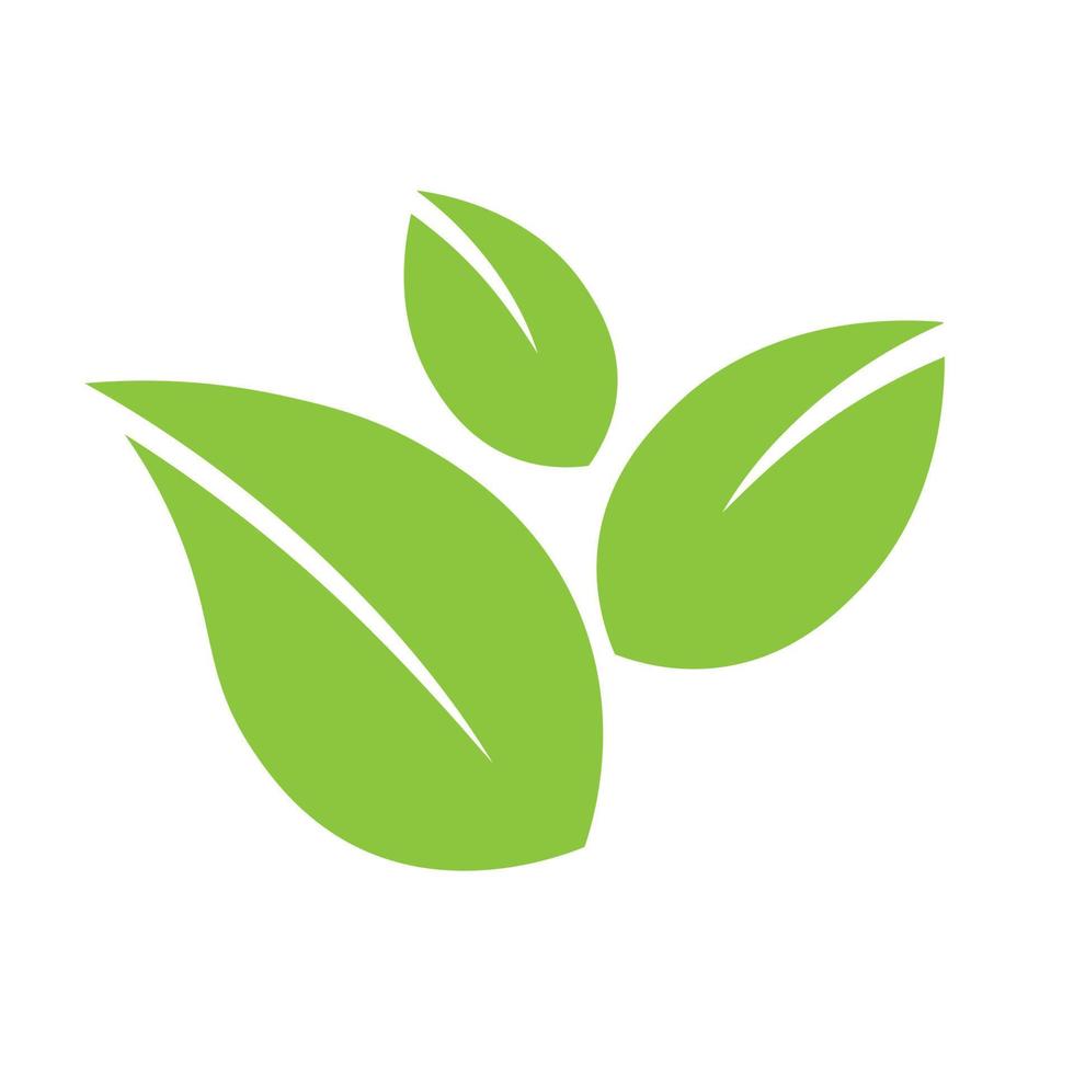 eco verde foglia icona bio natura verde eco simbolo per web e business vettore