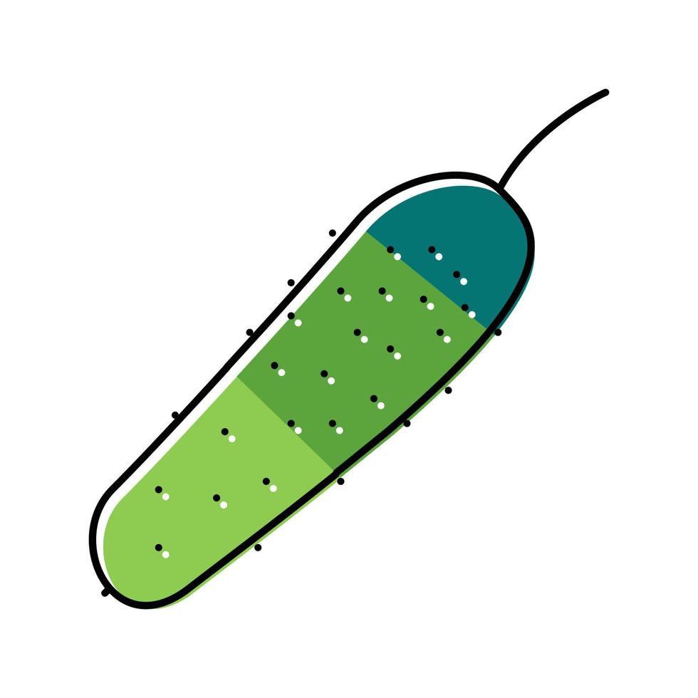 illustrazione vettoriale dell'icona del colore vegetale della vitamina del cetriolo