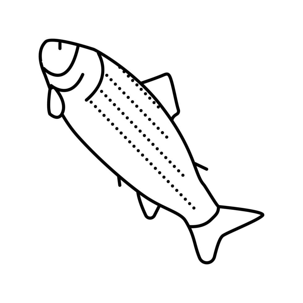 illustrazione vettoriale dell'icona della linea di salmone adulto