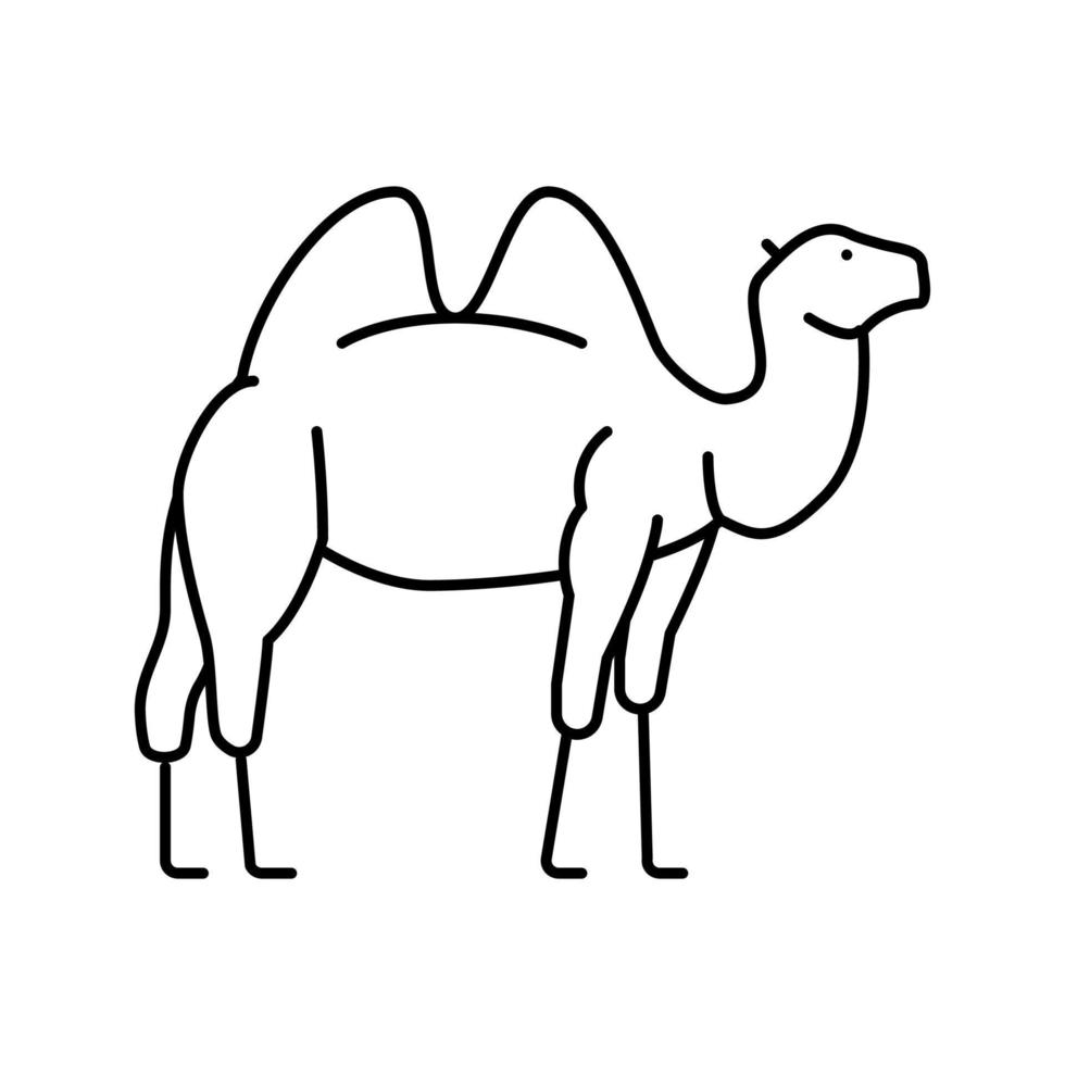 animale cammello nell'illustrazione vettoriale dell'icona della linea dello zoo