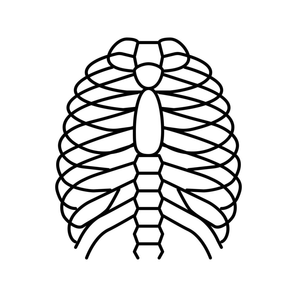 illustrazione vettoriale dell'icona della linea dell'osso del torace