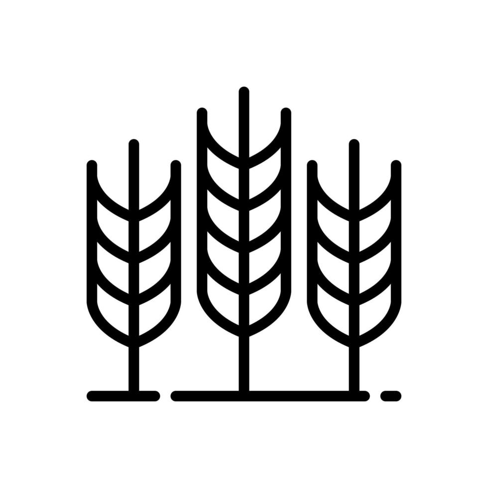 grigio cereali icone impostato con Riso, Grano, Mais, avena, avena, orzo segni isolato su bianca sfondo. orecchie simbolo di Grano pane. azienda agricola Grano simbolo. vettore