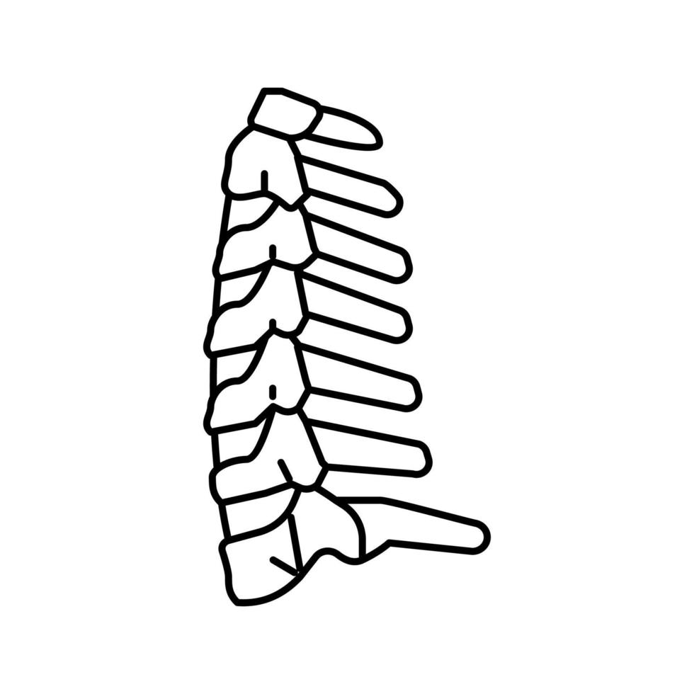 illustrazione vettoriale dell'icona della linea dell'osso del collo