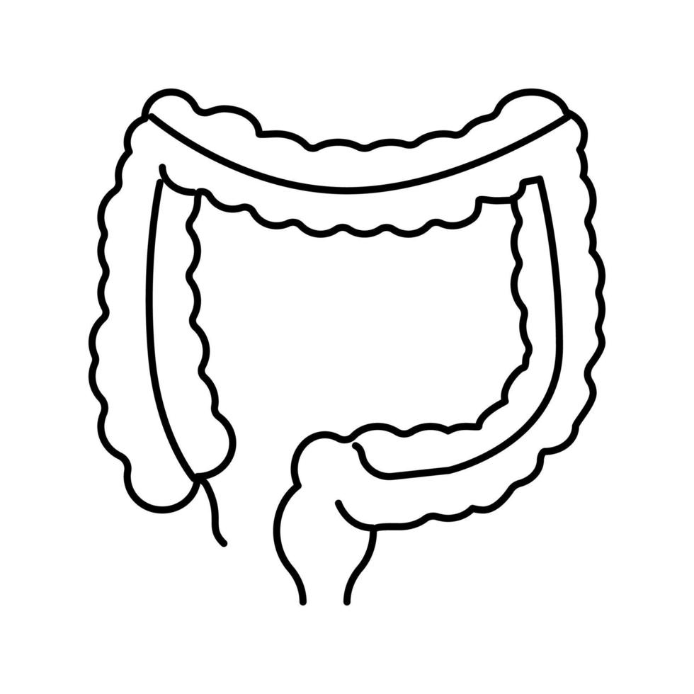 illustrazione vettoriale dell'icona della linea dell'organo umano del colon