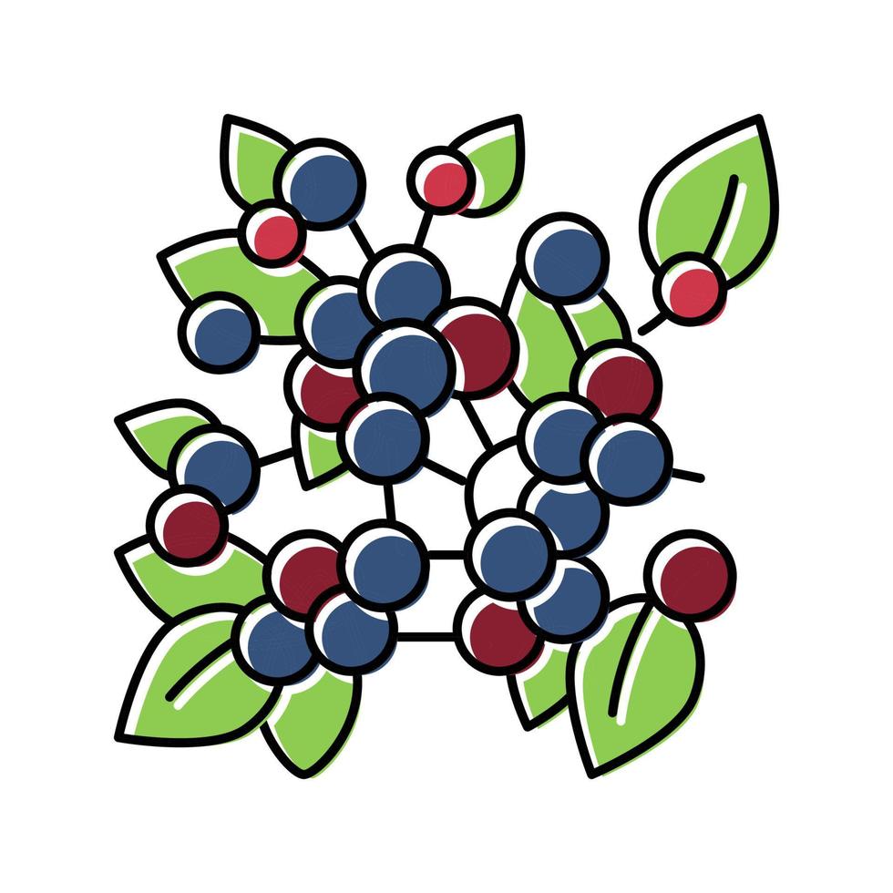 illustrazione vettoriale dell'icona del colore del ramo della pianta del mirtillo