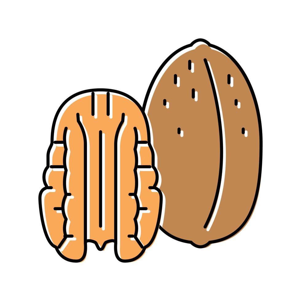 illustrazione vettoriale dell'icona del colore delle noci pecan