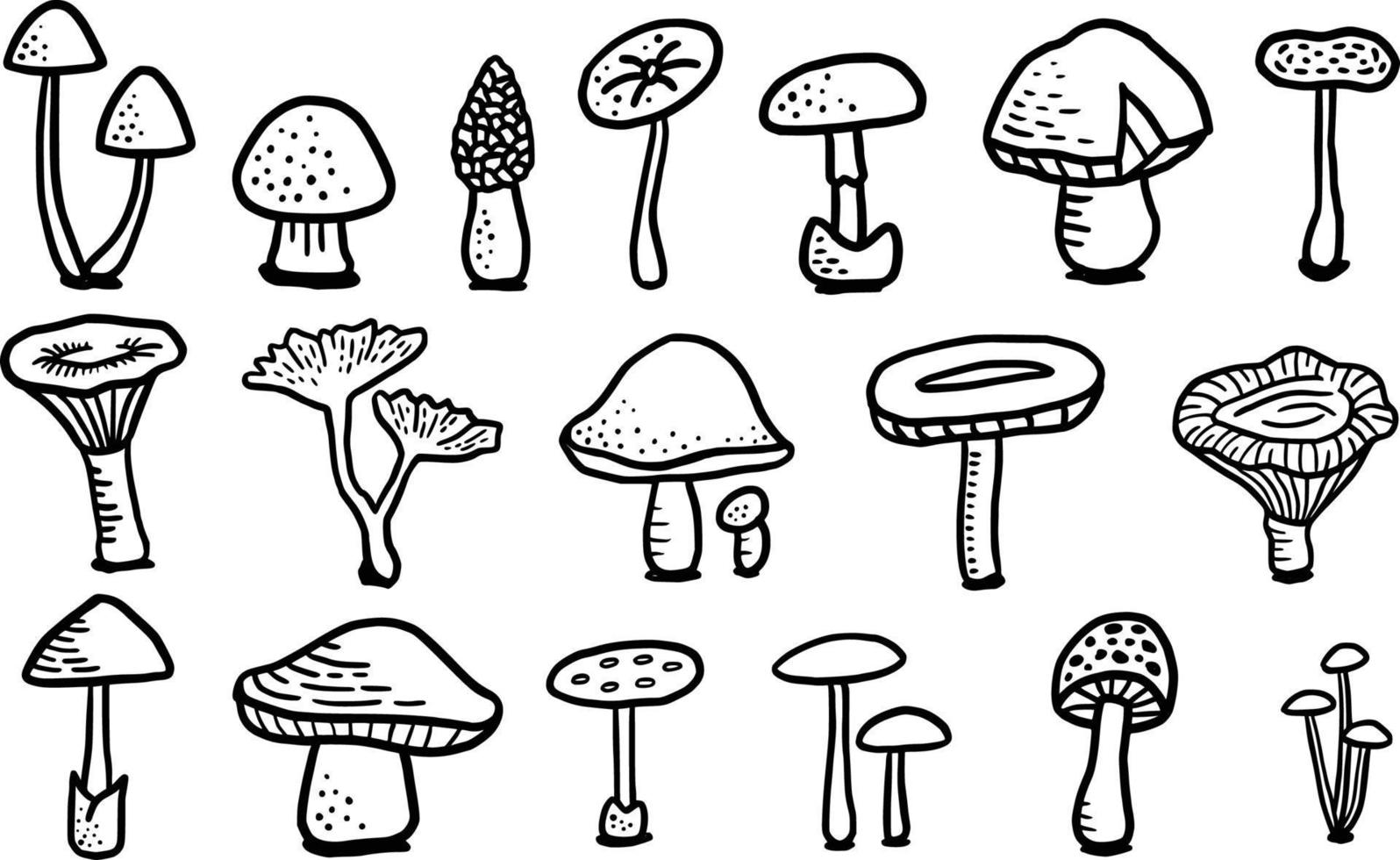 18 disegnato a mano fungo per colorazione pagina vettore