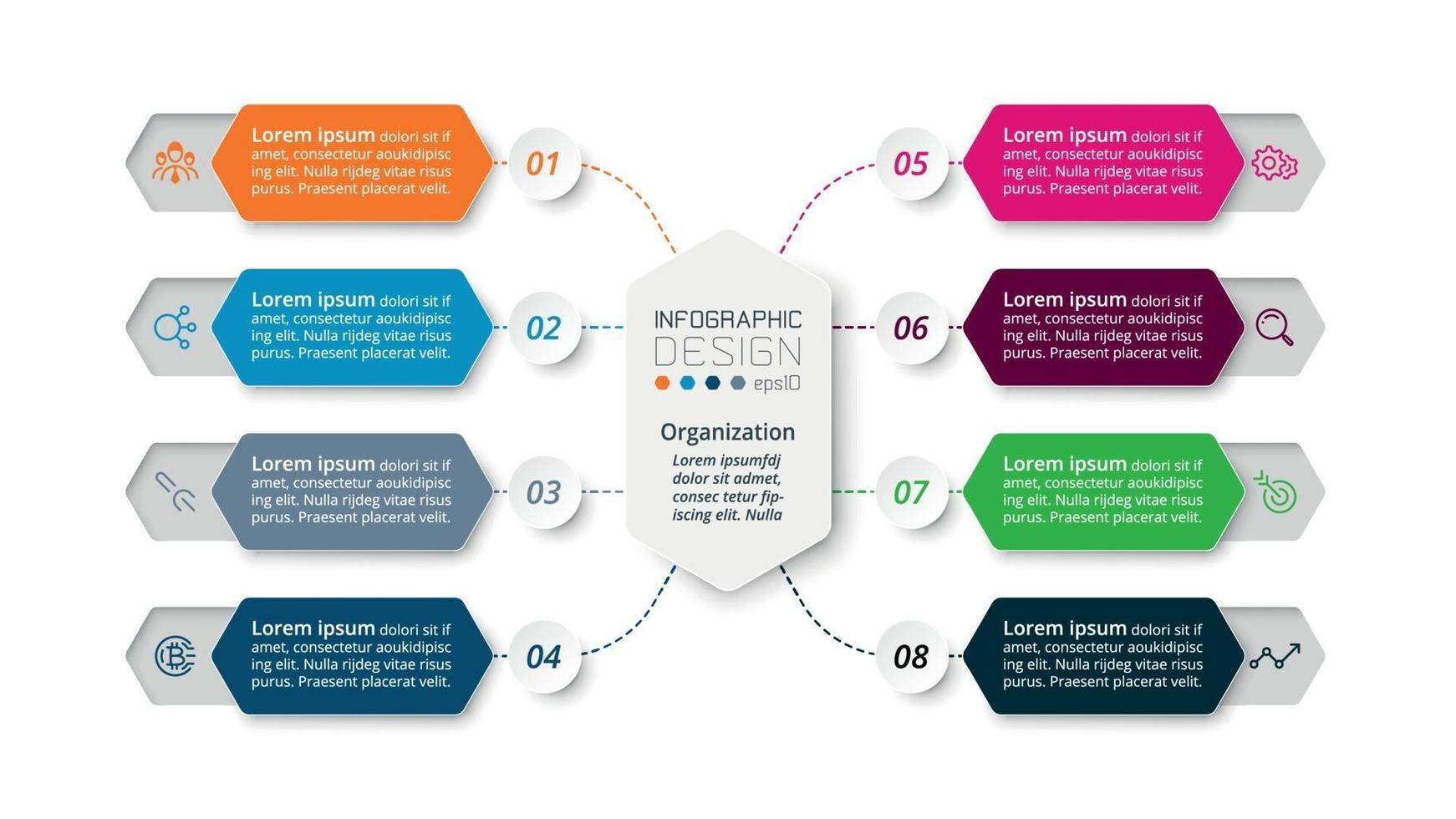 Il processo di lavoro in 8 fasi attraverso un design esagonale descrive una funzione o presenta informazioni su un'azienda o un'organizzazione. vettore infografica.