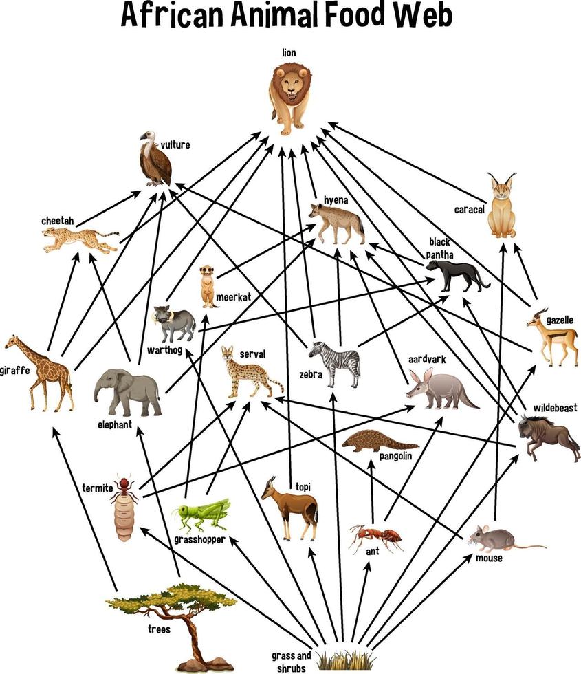 rete alimentare animale africano su sfondo bianco vettore
