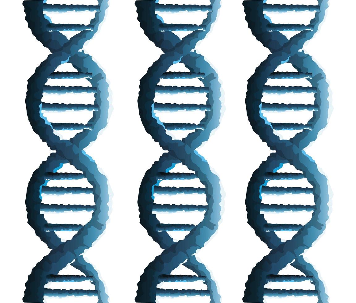 molecole di DNA struttura genetica icona vettore