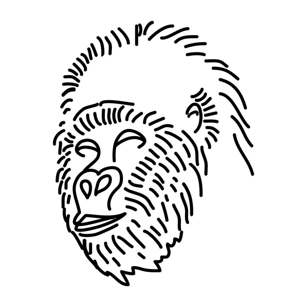 icona di gorilla. Doodle disegnato a mano o icona stile contorno vettore