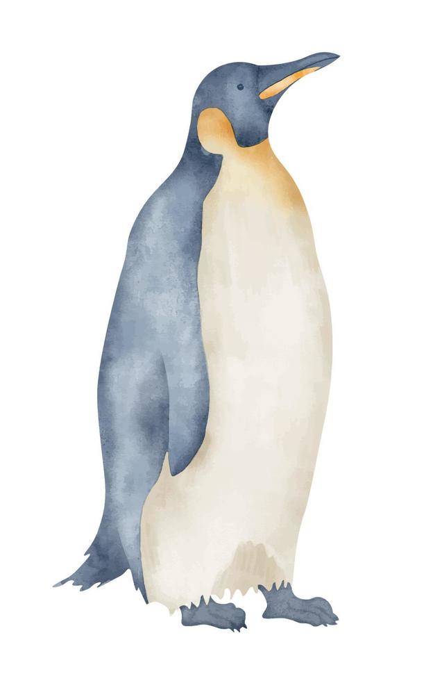 acquerello imperatore pinguini. mano disegnato illustrazione isolato su bianca sfondo. disegno di antartico animale nel pastello colori. schizzo di polare uccello. schizzo per logo o icona. nord personaggio vettore