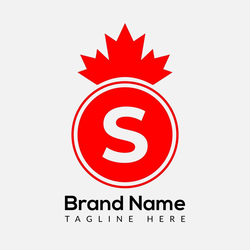acero foglia su lettera S logo design modello. canadese attività commerciale logo, attività commerciale, e azienda identità vettore