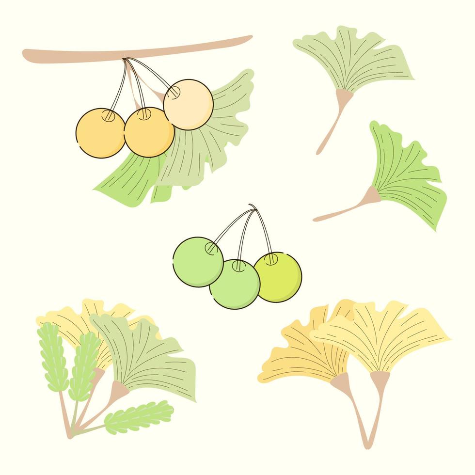 minimalista vettore illustrazione di mano disegnato giallo e verde le foglie di ginkgo biloba albero. salutare ingrediente quello è Usato nel medicina per malattia trattamento.