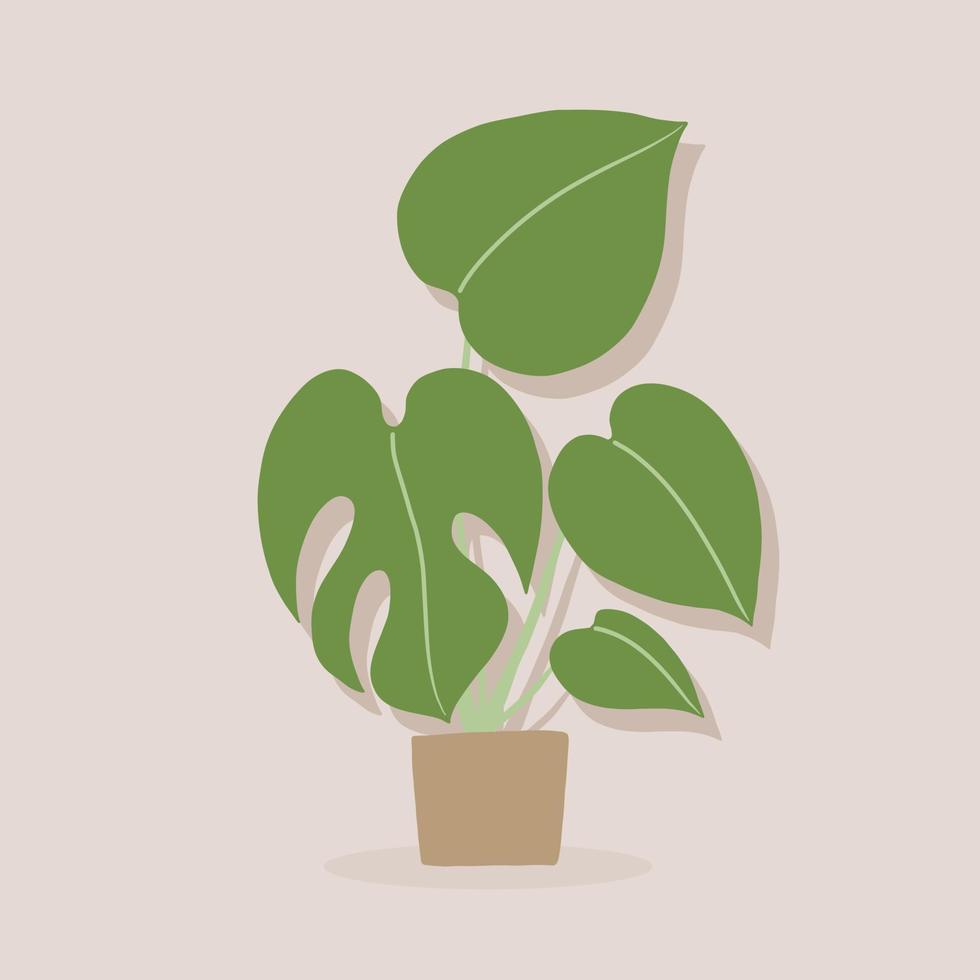 semplicità monstera pianta disegno a mano libera design piatto. vettore