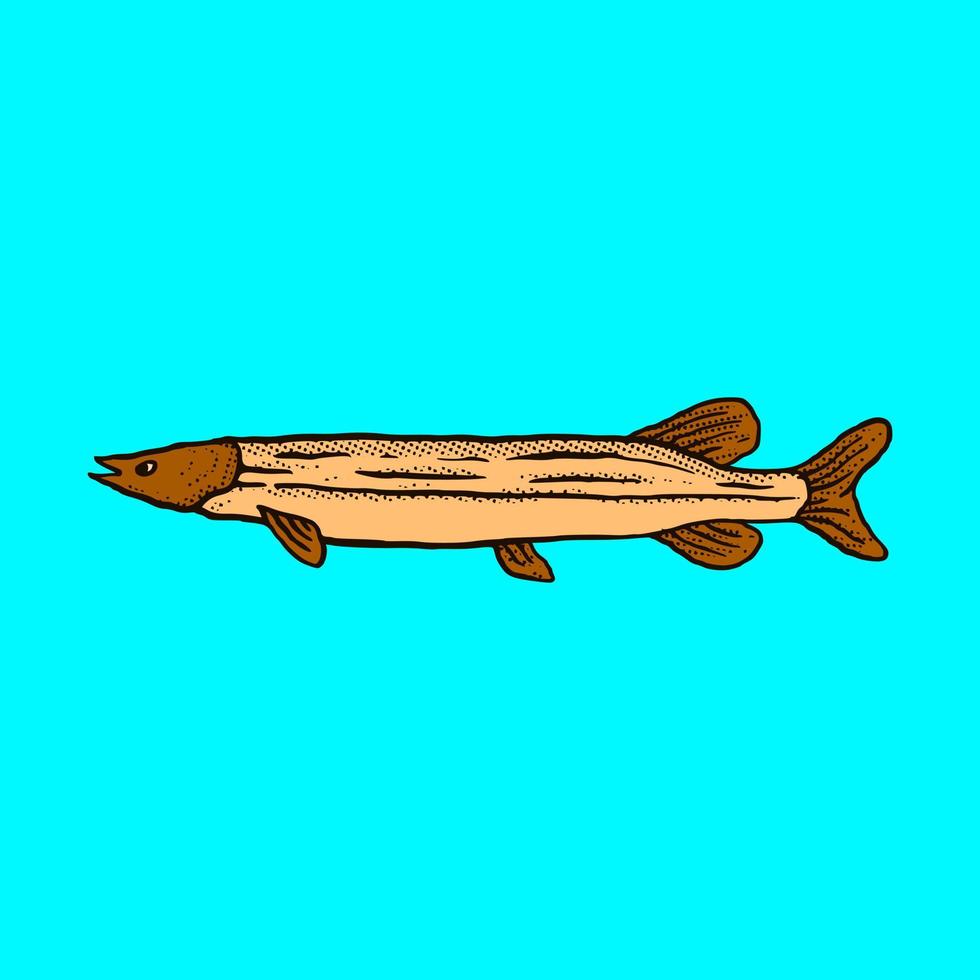 pesce illustrazione mano disegnato cartone animato colorato Vintage ▾ stile vettore