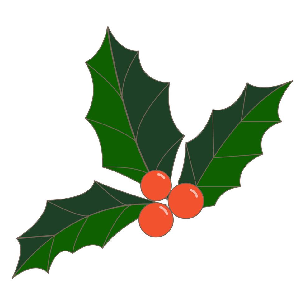 agrifoglio frutti di bosco e le foglie vettore illustrazione, Natale, nuovo anno, inverno