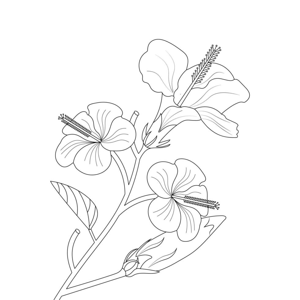 ibisco fiore colorazione pagina e libro illustrazione linea arte vettore