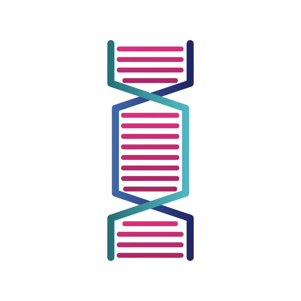 molecola di DNA struttura icona isolata vettore