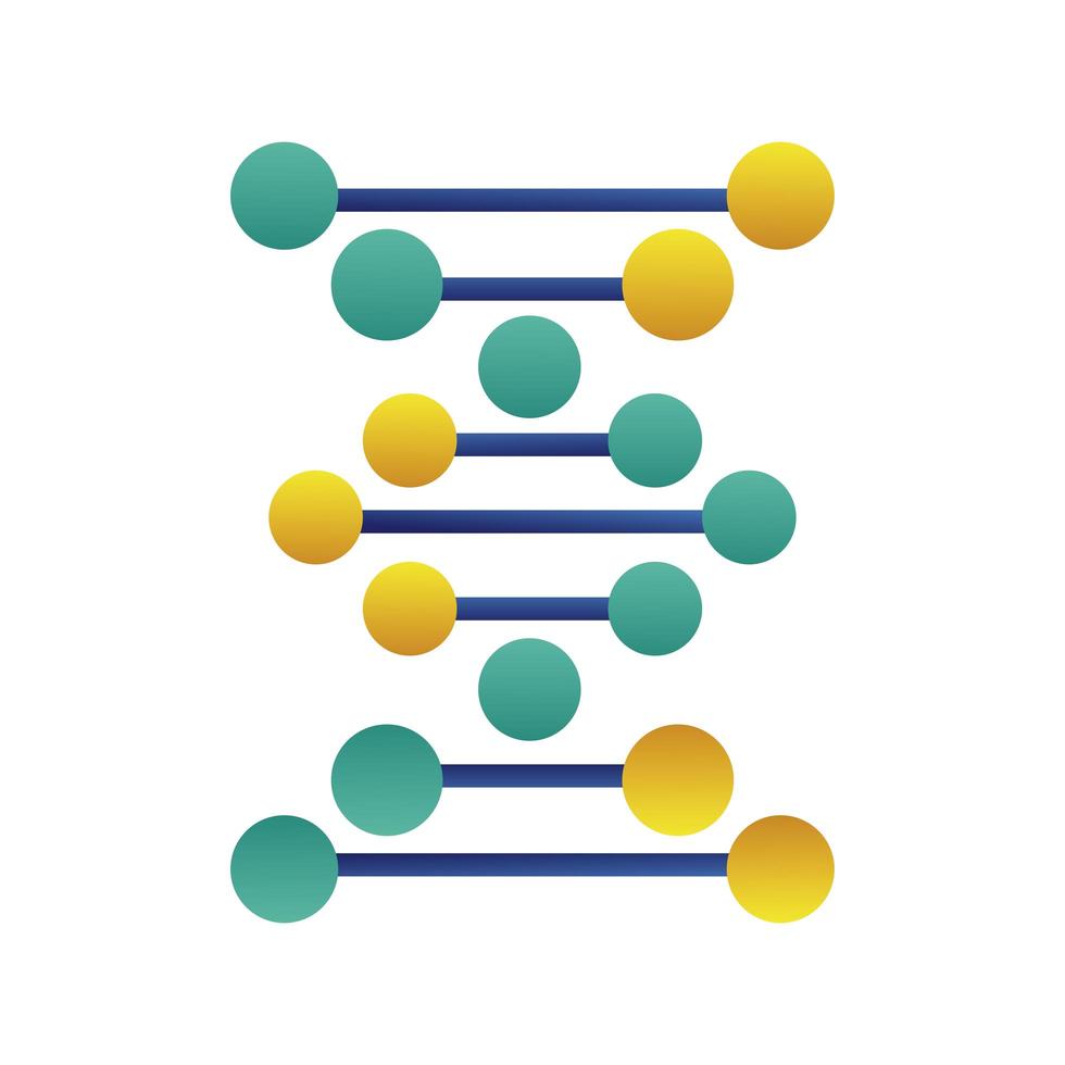 molecola di DNA struttura icona isolata vettore