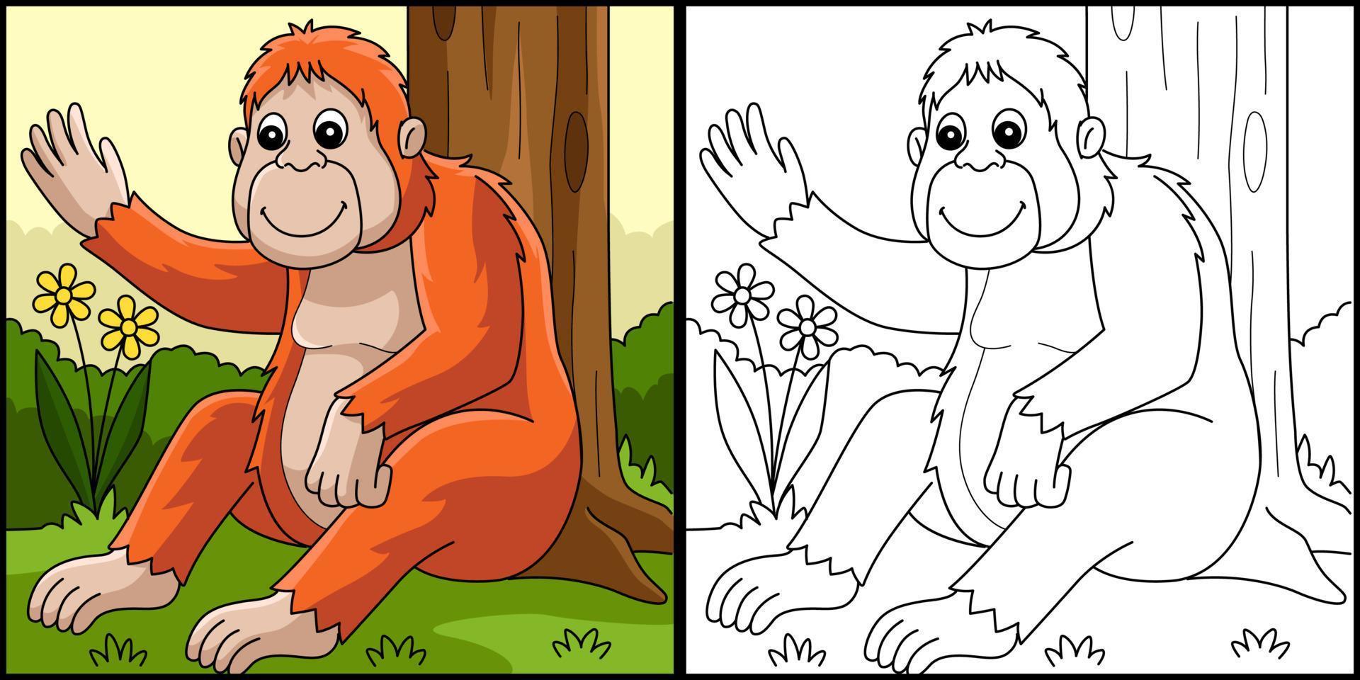 orangutan animale colorazione pagina illustrazione vettore