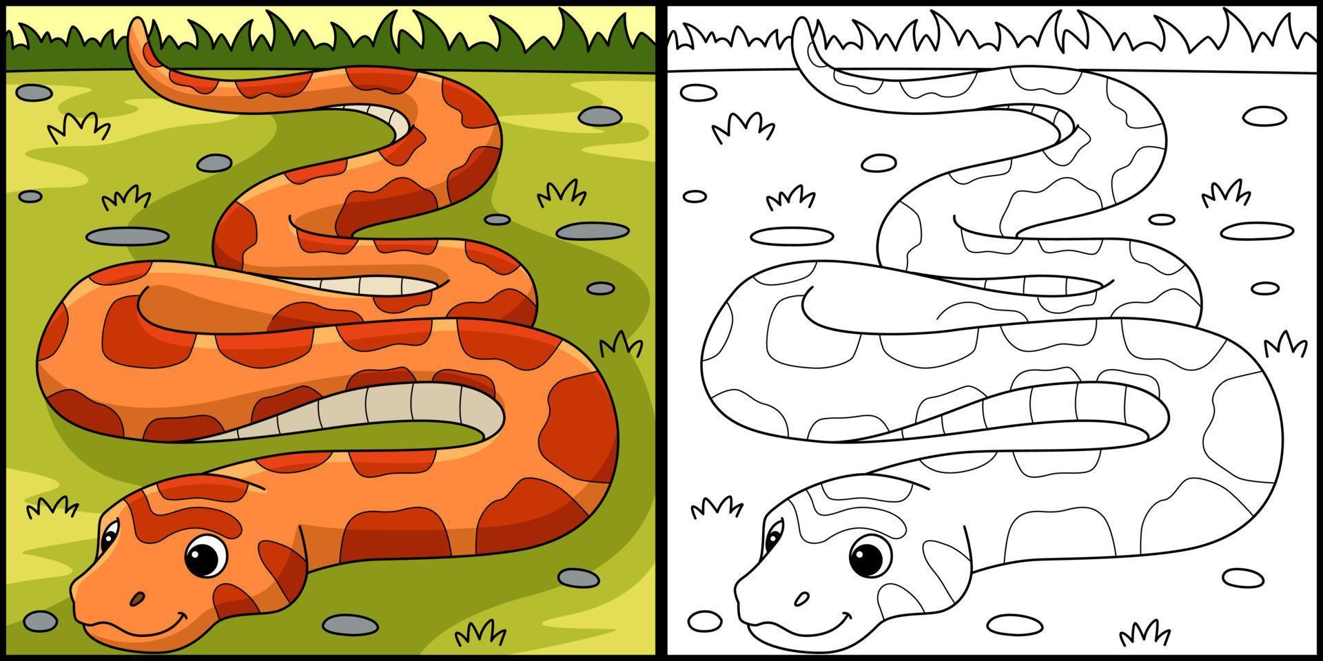 Mais serpente animale colorazione pagina illustrazione vettore