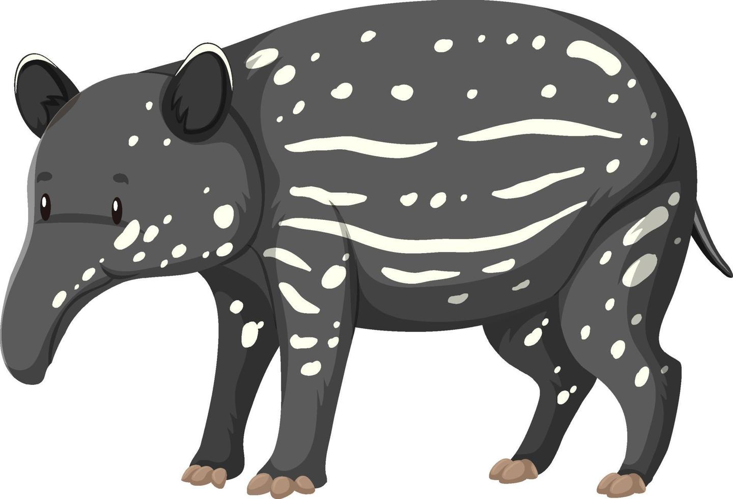 baby tapiro animale selvatico su sfondo bianco vettore