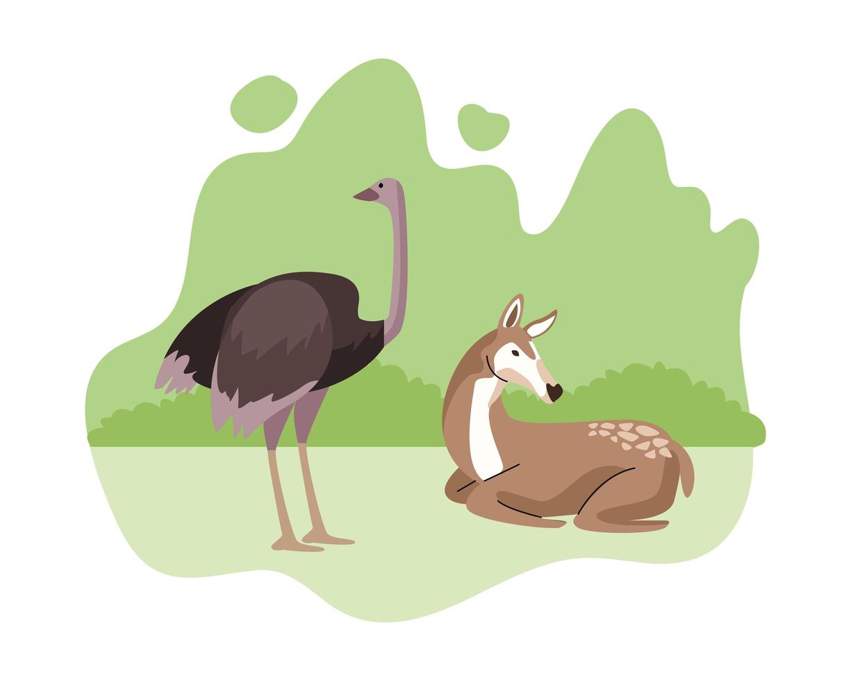 icone della natura animali selvatici di struzzo e gazzella vettore