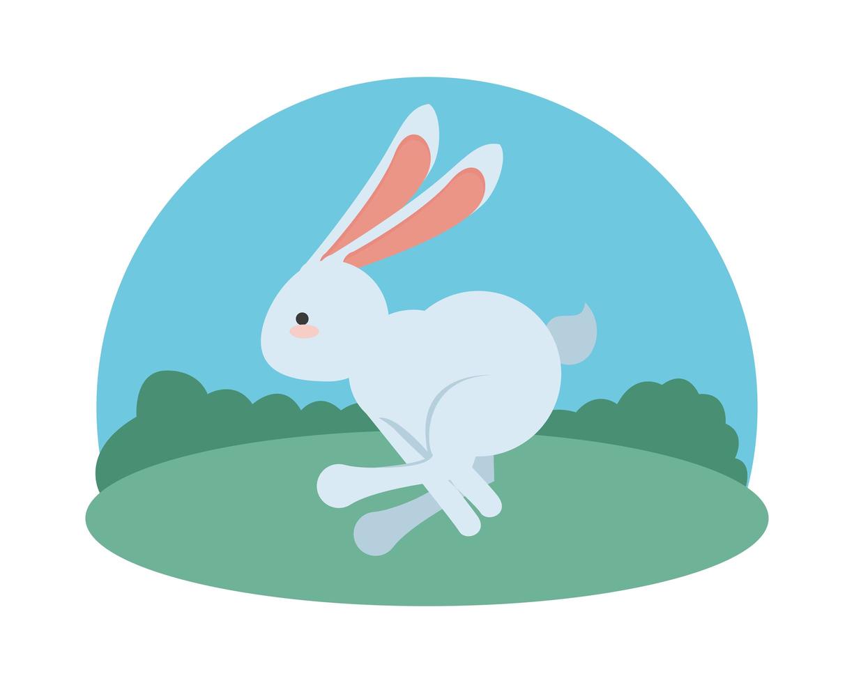 piccolo coniglio di Pasqua che salta nel campo vettore