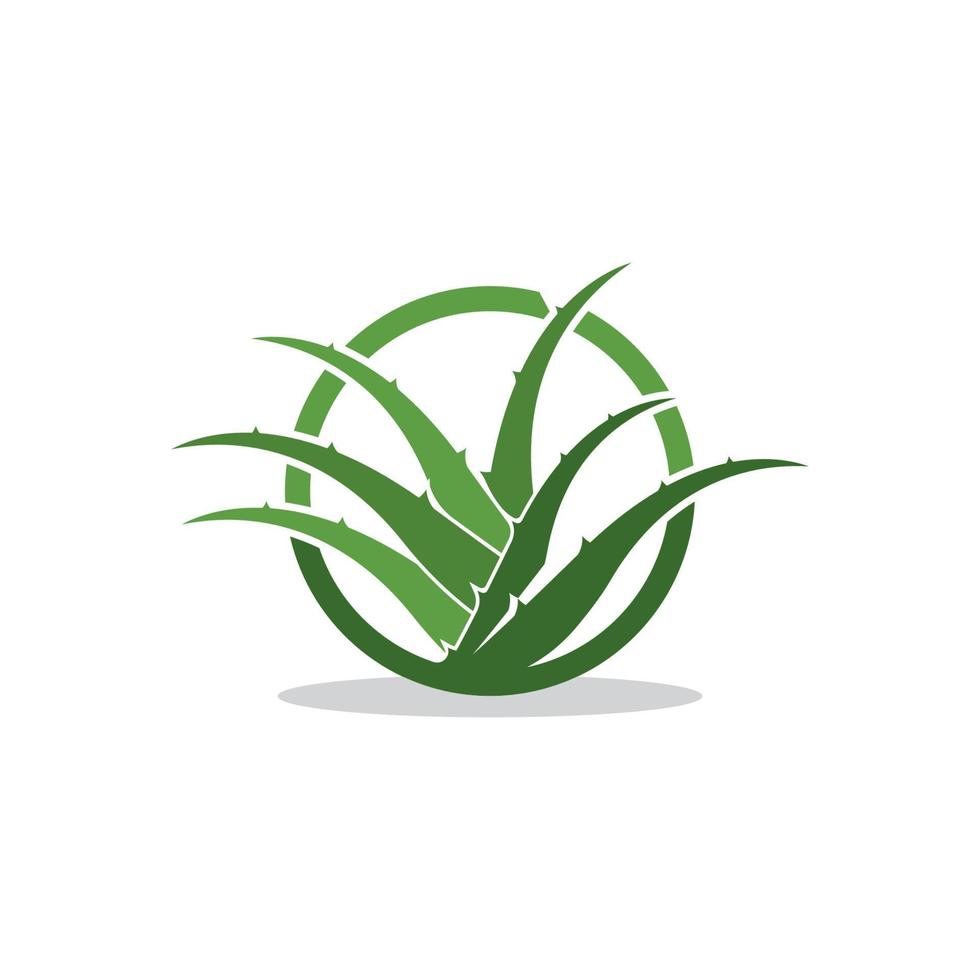 aloe Vera logo icona design simbolo bellezza vettore