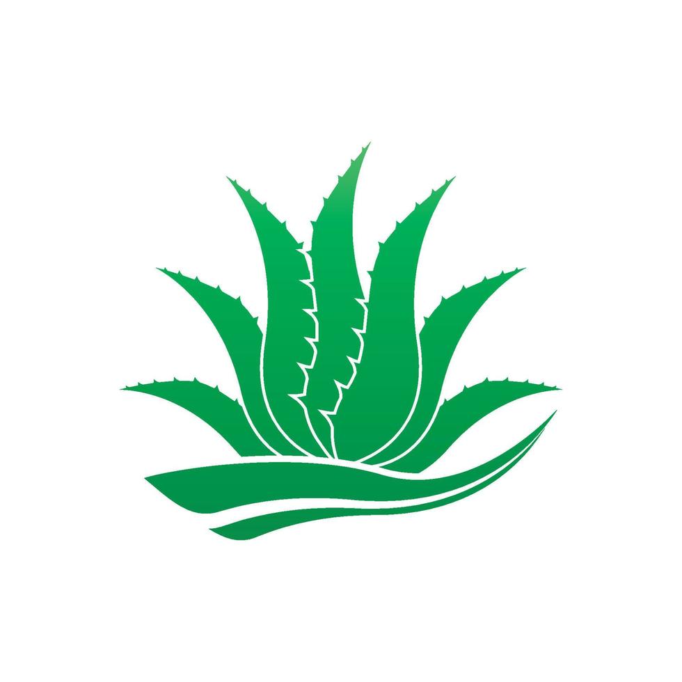 aloe Vera logo icona design simbolo bellezza vettore