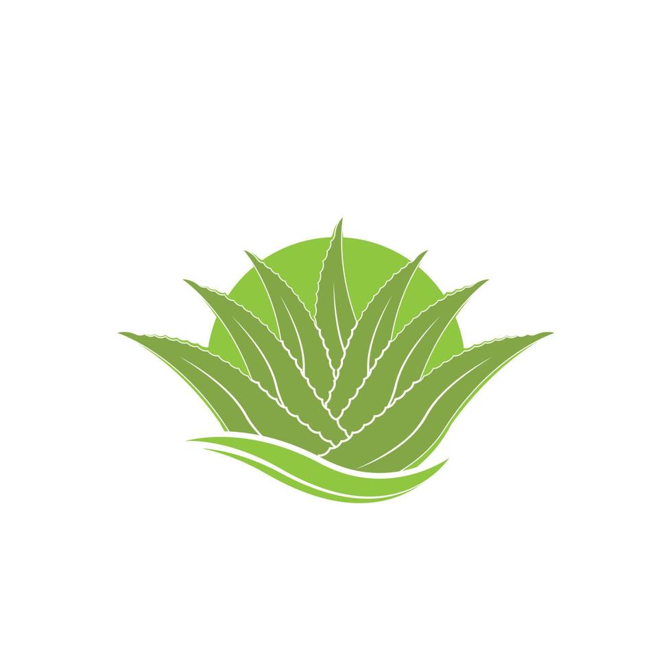 aloe Vera logo icona design simbolo bellezza vettore