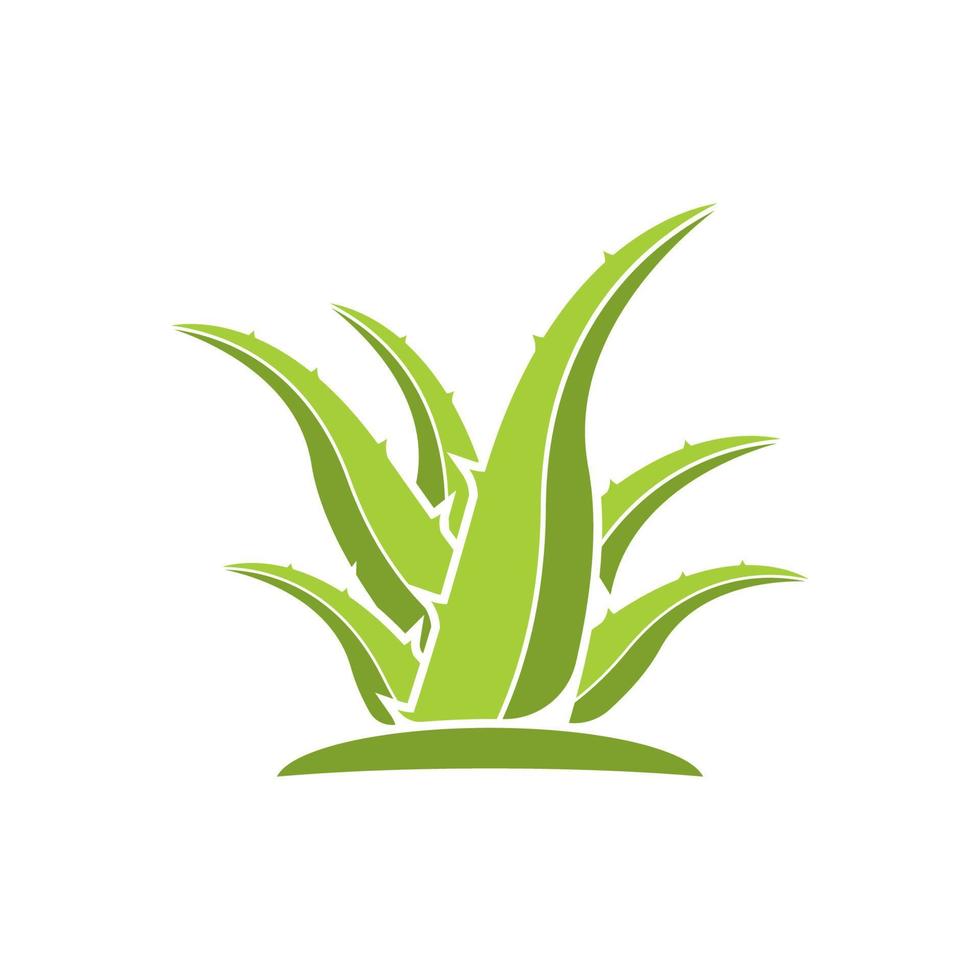 aloe Vera logo icona design simbolo bellezza vettore